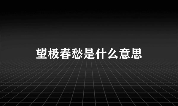望极春愁是什么意思