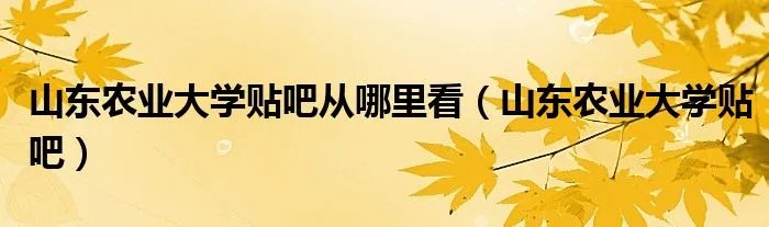 山东农业大学贴吧从哪里看（山东农业大学贴吧）