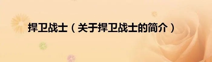 捍卫战士（关于捍卫战士的简介）