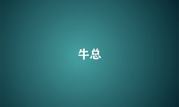 牛总