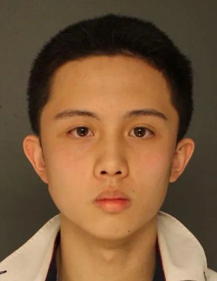 狄莺儿子在美被捕是真的吗？