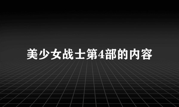 美少女战士第4部的内容