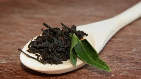 怀孕能喝茶吗