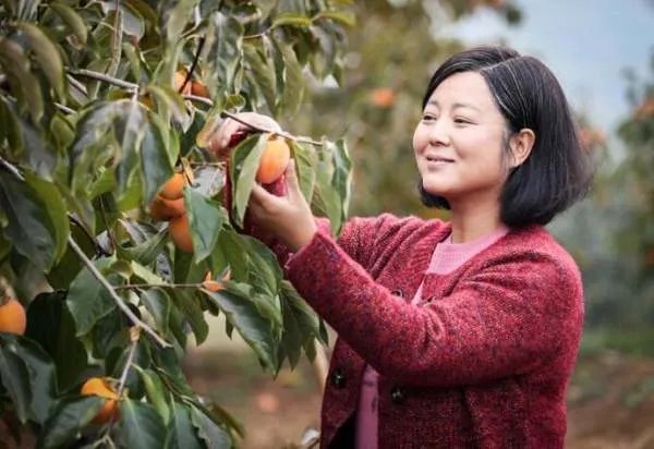 王茜华出演的电视剧有哪些？