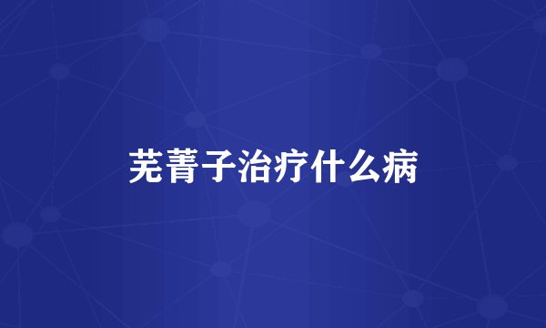 芜菁子治疗什么病