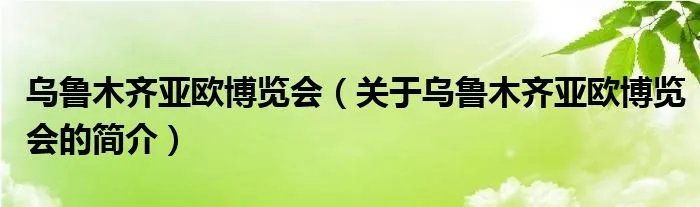 乌鲁木齐亚欧博览会（关于乌鲁木齐亚欧博览会的简介）