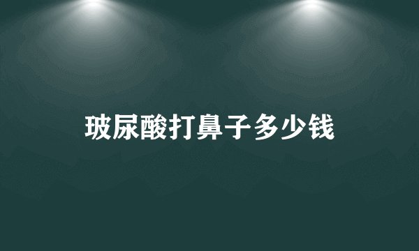 玻尿酸打鼻子多少钱