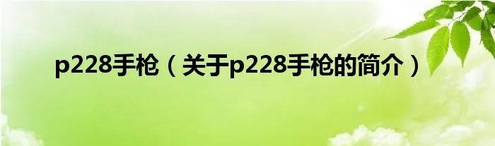p228手枪（关于p228手枪的简介）