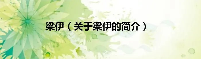 梁伊（关于梁伊的简介）
