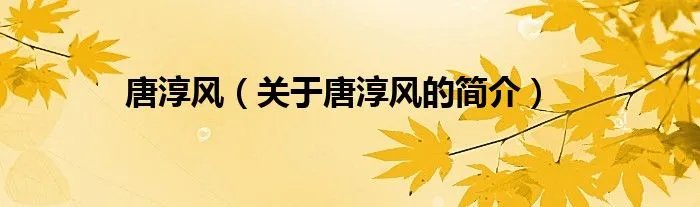 唐淳风（关于唐淳风的简介）