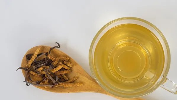 冬虫夏草是什么