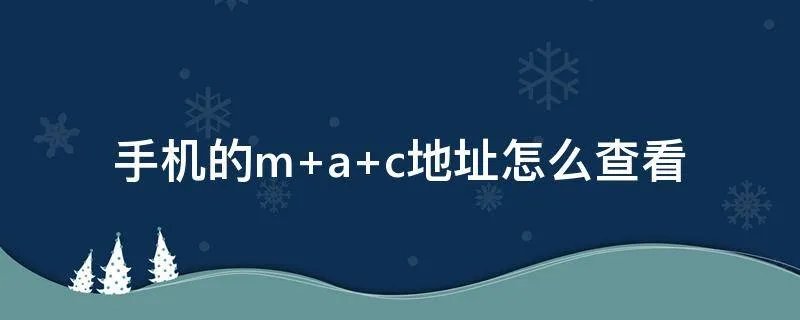 手机的m a c地址怎么查看