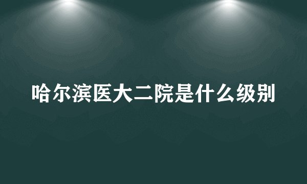 哈尔滨医大二院是什么级别