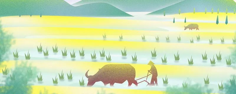 立夏是什么意思 立夏的意思是什么