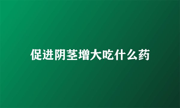 促进阴茎增大吃什么药