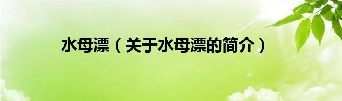 水母漂（关于水母漂的简介）