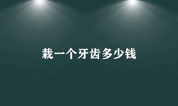 栽一个牙齿多少钱