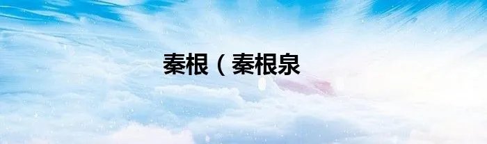 秦根（秦根泉