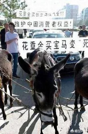 奔驰女车主是一个怎么样的人?