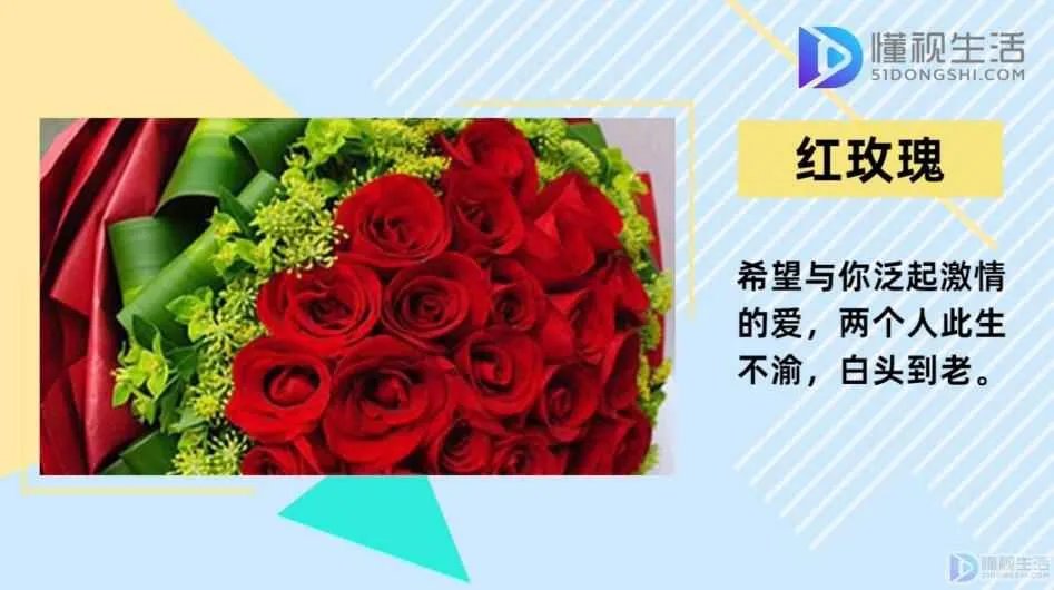 20朵玫瑰代表什么
