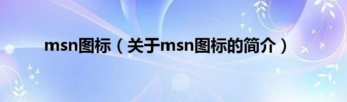 msn图标（关于msn图标的简介）