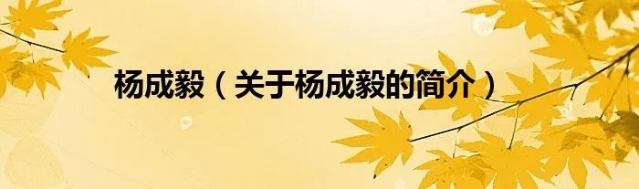 杨成毅（关于杨成毅的简介）