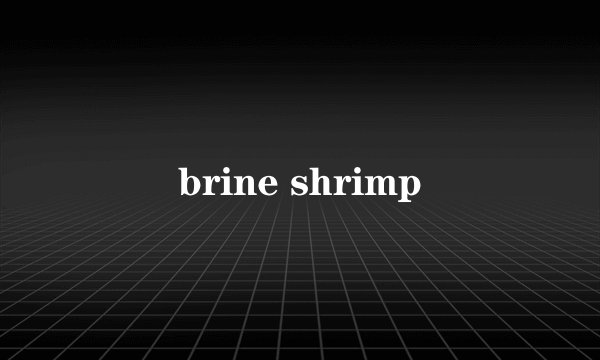 brine shrimp