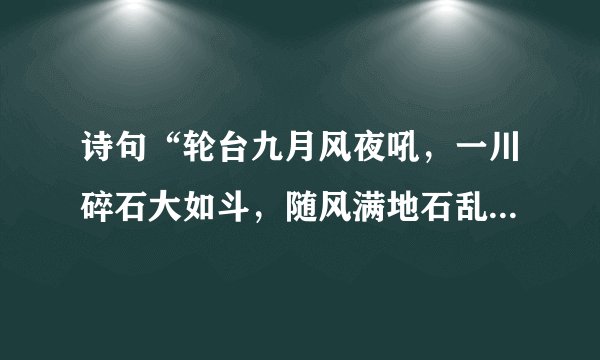 诗句“轮台九月风夜吼，一川碎石大如斗，随风满地石乱走。”的意思及全文赏析？
