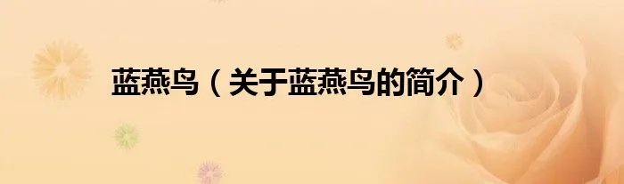 蓝燕鸟（关于蓝燕鸟的简介）