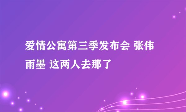 爱情公寓第三季发布会 张伟 雨墨 这两人去那了
