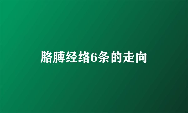 胳膊经络6条的走向