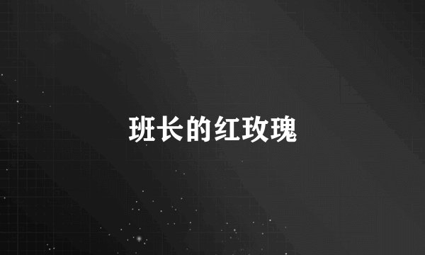 班长的红玫瑰