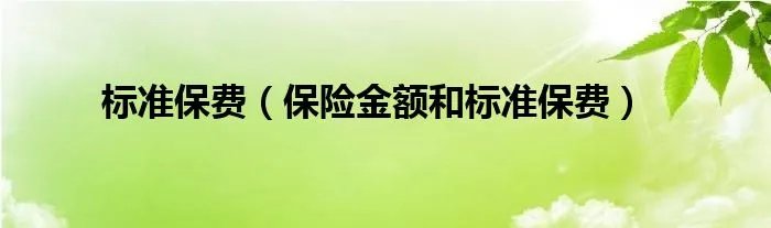 标准保费（保险金额和标准保费）
