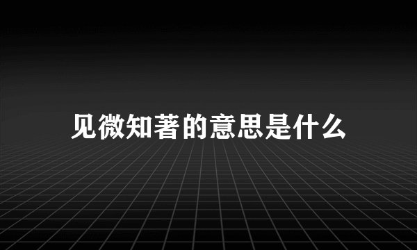 见微知著的意思是什么