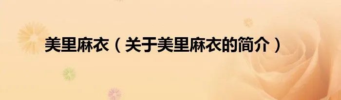 美里麻衣（关于美里麻衣的简介）