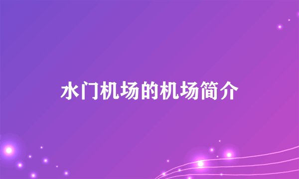 水门机场的机场简介