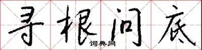寻根问底