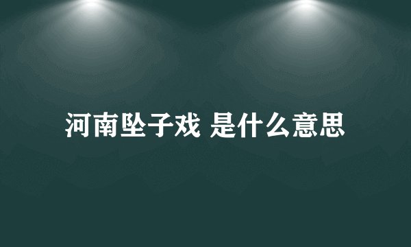 河南坠子戏 是什么意思