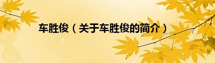 车胜俊（关于车胜俊的简介）
