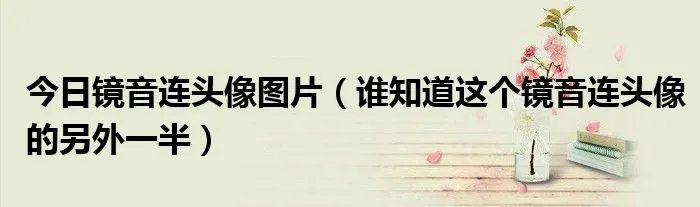 今日镜音连头像图片（谁知道这个镜音连头像的另外一半）
