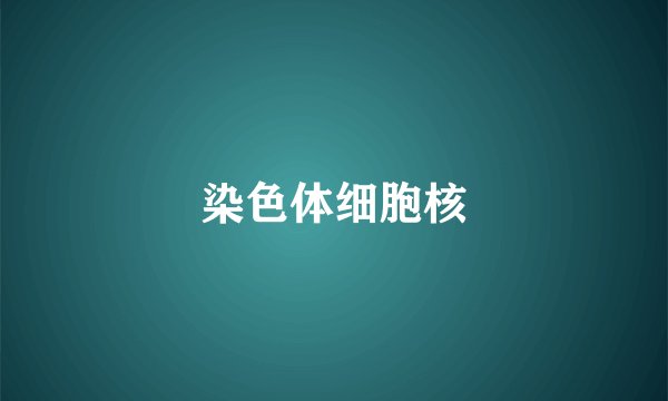染色体细胞核