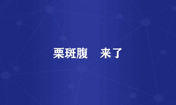 栗斑腹鹀来了