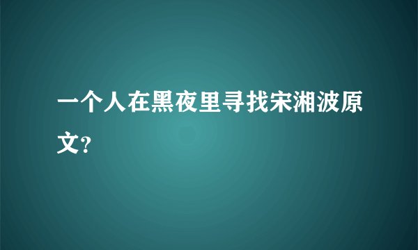 一个人在黑夜里寻找宋湘波原文？