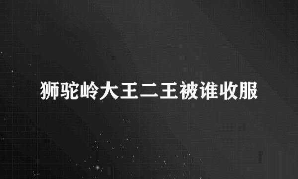 狮驼岭大王二王被谁收服