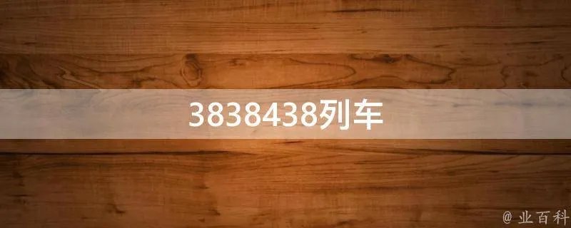 3838438列车