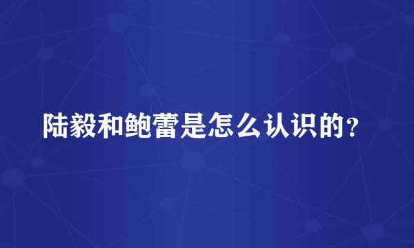 陆毅和鲍蕾是怎么认识的？