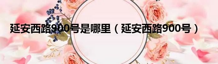 延安西路900号是哪里（延安西路900号）
