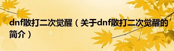 dnf散打二次觉醒(关于dnf散打二次觉醒的简介)