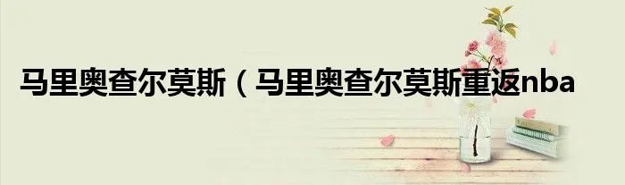 马里奥查尔莫斯(马里奥查尔莫斯重返nba