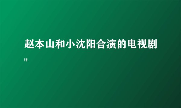 赵本山和小沈阳合演的电视剧